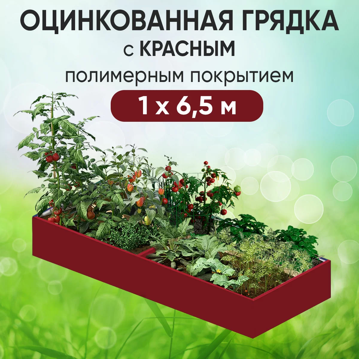 Грядка красная (1 х 6,5)